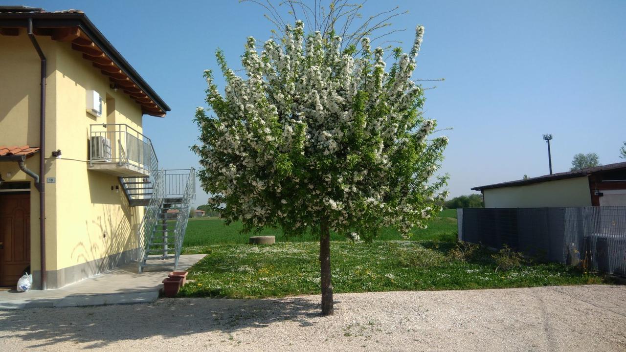 Bed & Breakfast Sant' Eurosia - Bologna — Photos 3